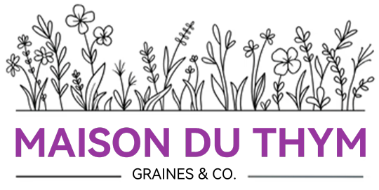 Maison du Thym